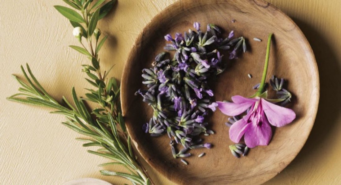Aveda Naturpflege